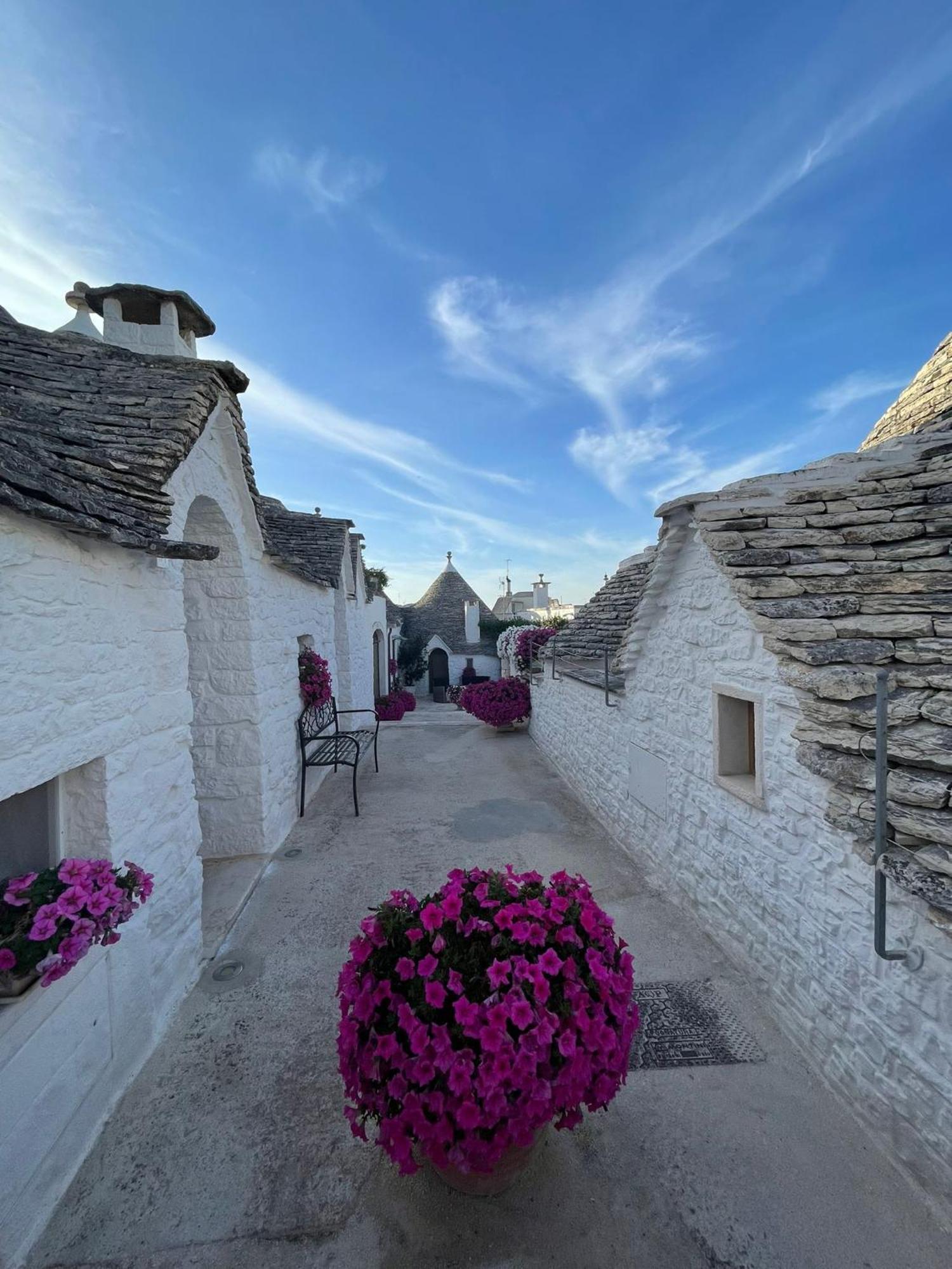 Rosas Guest House - La Cementina Bari Zewnętrze zdjęcie